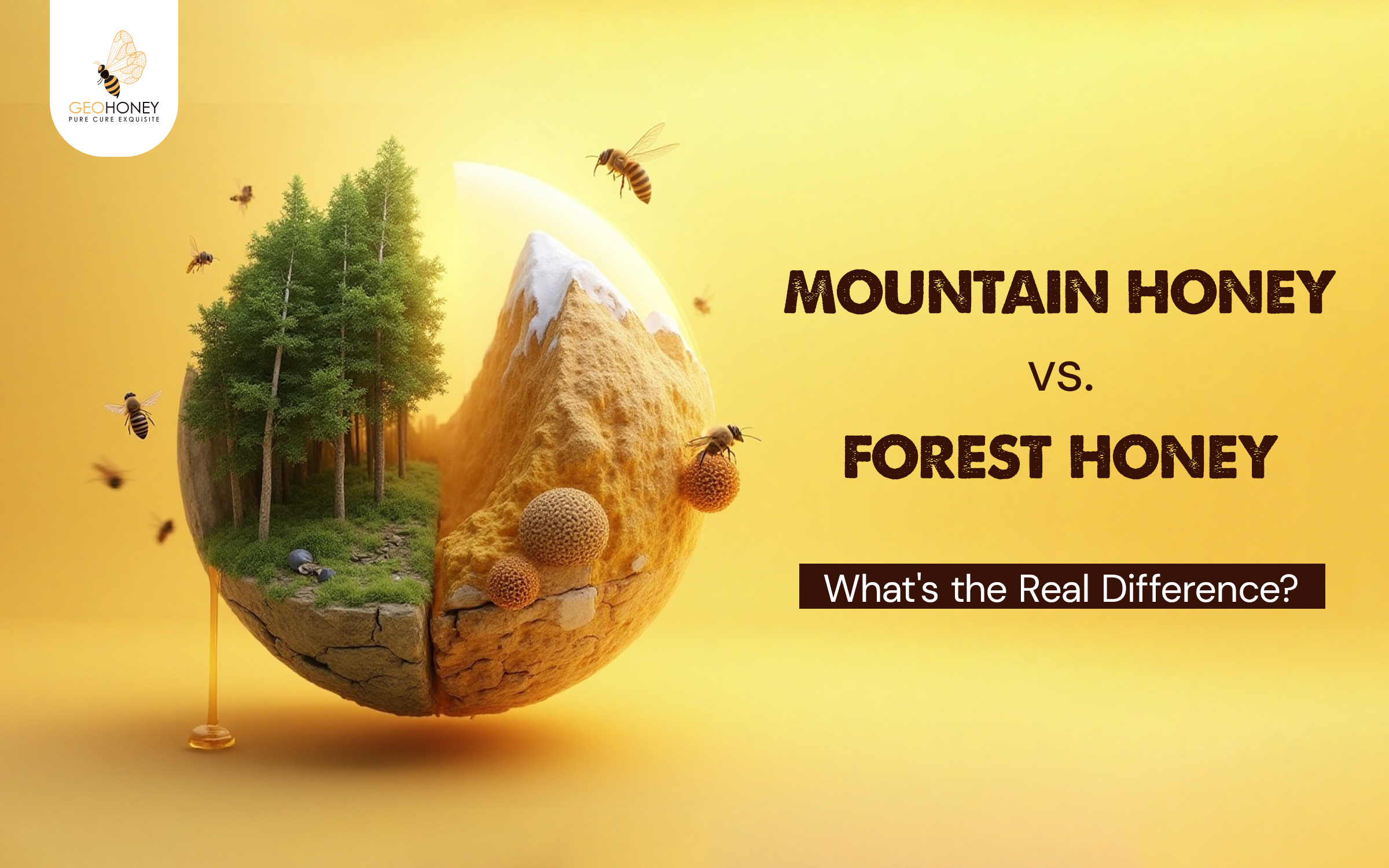 Mountain Honey vs. Forest Honey: What's the Real Difference